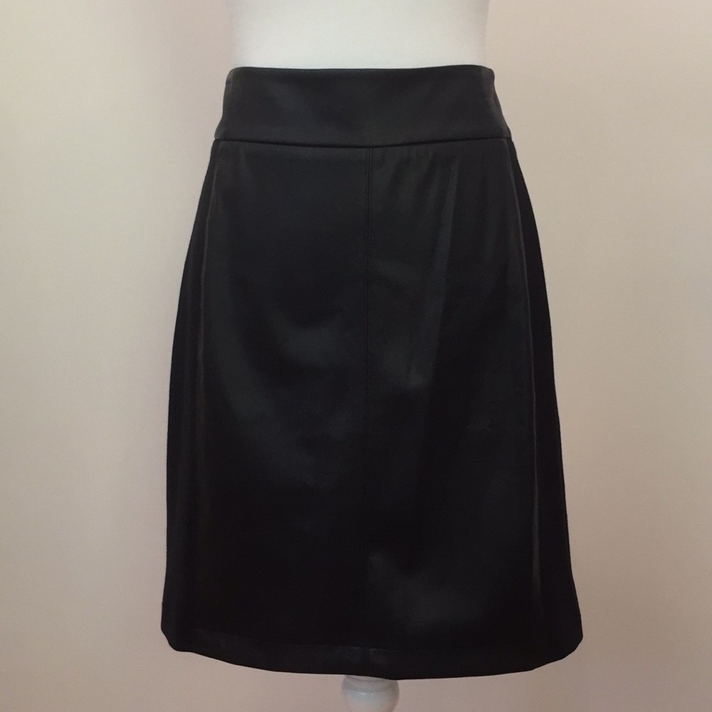 CAbi Miranda Skirt size 8